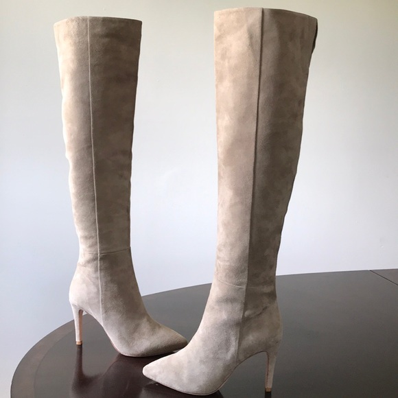 Joie Brown Suede Pointed Toe Knee hi hi heel boots - Picture 4 of 8